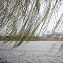 合肥旅游 缩略图 2