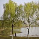 合肥旅游 缩略图 3