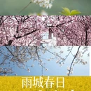 雅安旅游 缩略图 1