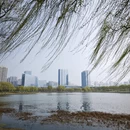 合肥旅游 缩略图 9