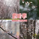 雅安旅游 缩略图 2