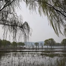 合肥旅游 缩略图 7
