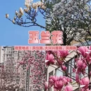 雅安旅游 缩略图 5