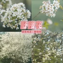 雅安旅游 缩略图 7