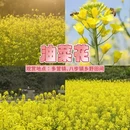 雅安旅游 缩略图 6