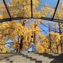 青岛旅游 缩略图 1