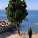 青岛旅游 缩略图 8