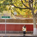 青岛旅游 缩略图 16