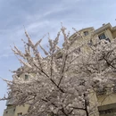 青岛旅游 缩略图 6