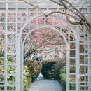 青岛旅游 缩略图 8