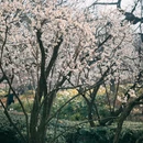 青岛旅游 缩略图 13