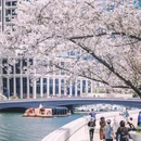 上海旅游 缩略图 1