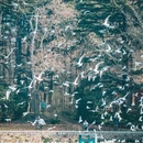 青岛旅游 缩略图 15