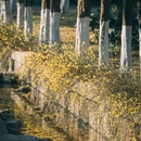 青岛旅游 缩略图 18