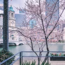上海旅游 缩略图 2