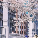 上海旅游 缩略图 8