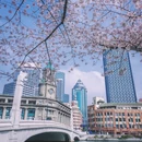 上海旅游 缩略图 3