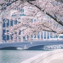 上海旅游 缩略图 12