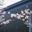 上海旅游 缩略图 15