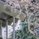 上海旅游 缩略图 9