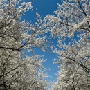 青岛旅游 缩略图 5
