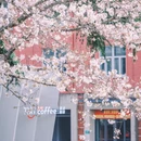 上海旅游 缩略图 14