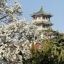 青岛旅游 缩略图 7
