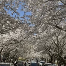 青岛旅游 缩略图 10