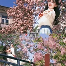 大连旅游 缩略图 5