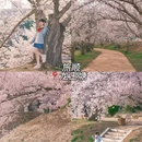 大连旅游 缩略图 3