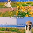 大连旅游 缩略图 13