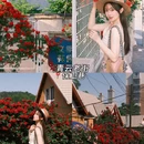 大连旅游 缩略图 10