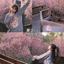 大连旅游 缩略图 6