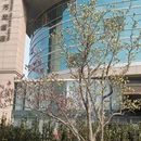 北京旅游 缩略图 2