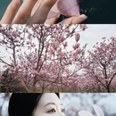 成都旅游 缩略图 2