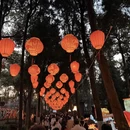 成都旅游 缩略图 1