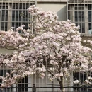 北京旅游 缩略图 3