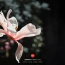 重庆旅游 缩略图 10