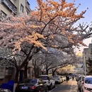青岛旅游 缩略图 3