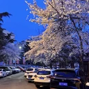 青岛旅游 缩略图 6