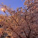 青岛旅游 缩略图 5