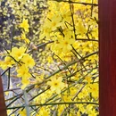 青岛旅游 缩略图 3