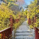 青岛旅游 缩略图 1