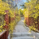 青岛旅游 缩略图 7
