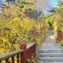 青岛旅游 缩略图 11