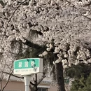 青岛旅游 缩略图 16