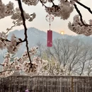 青岛旅游 缩略图 2