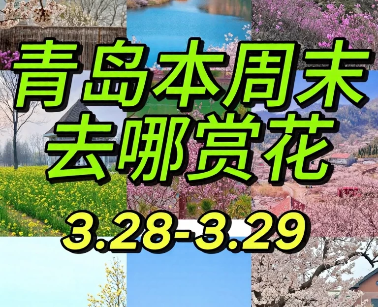 青岛旅游 1