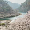 青岛旅游 缩略图 5