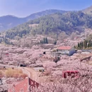 青岛旅游 缩略图 6